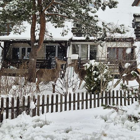 Apartament Wokol Stolu Zakopane Luaran gambar
